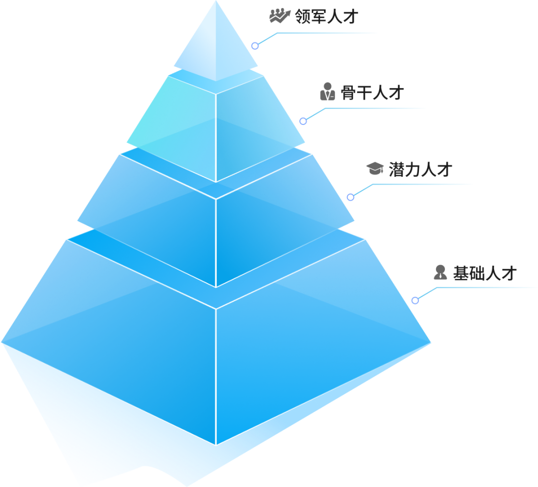 专家团队配置金字塔